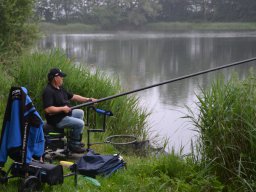 Competities HSV Alfheim